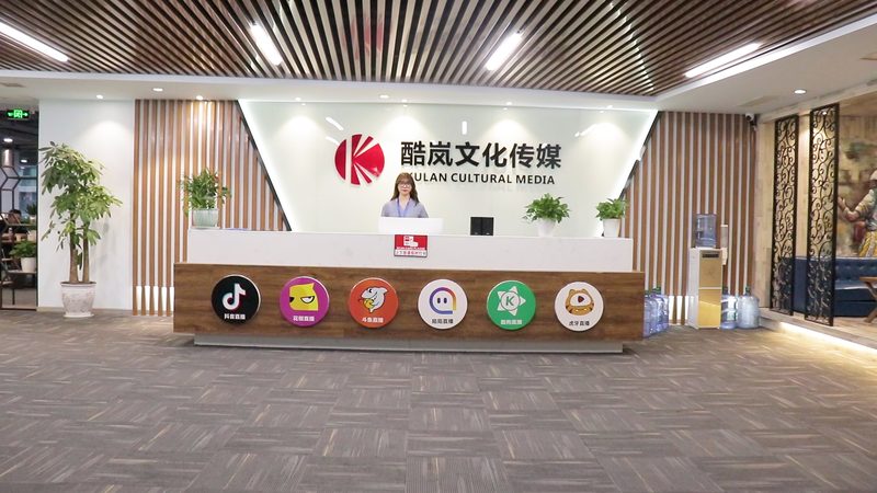 品牌策划公司优缺点分析